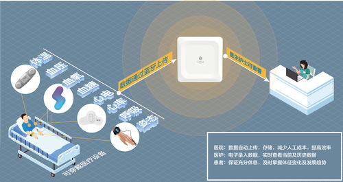 生命體征持續(xù)監(jiān)測,桂花網(wǎng)與質(zhì)子科技攜手守護患者健康