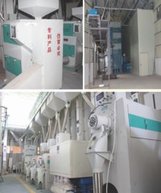 科技賦能，品質為本 揭秘大米企業贏得尊敬與信賴的秘訣